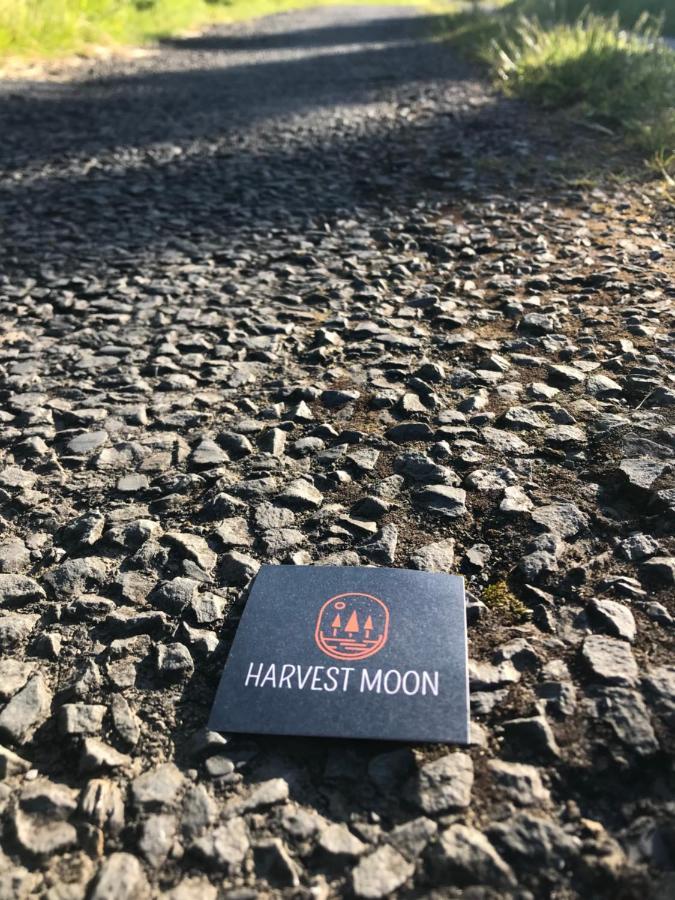 Bed and Breakfast Harvest Moon Doolin Esterno foto